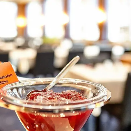 Hotel Basic Hotel Arosa